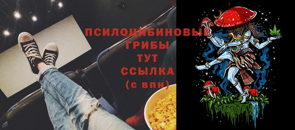 эйфоретик Белокуриха