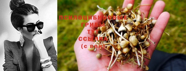 эйфоретик Белокуриха