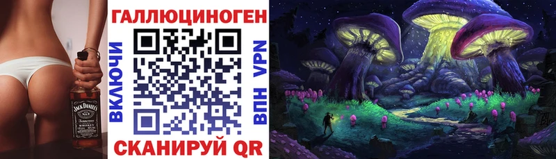 купить наркотики сайты  Ставрополь  Псилоцибиновые грибы ЛСД 